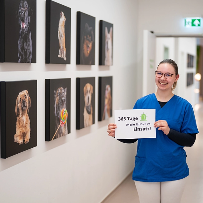 Weiße Tür mit grünem Schriftzug „Hier geht’s nur fürs Team weiter“.